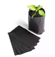 ⁦اكياس شتلات⁩ - الصورة ⁦3⁩